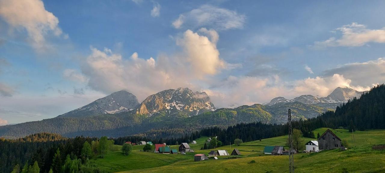 Durmitorske Vile Žabljak Exteriör bild