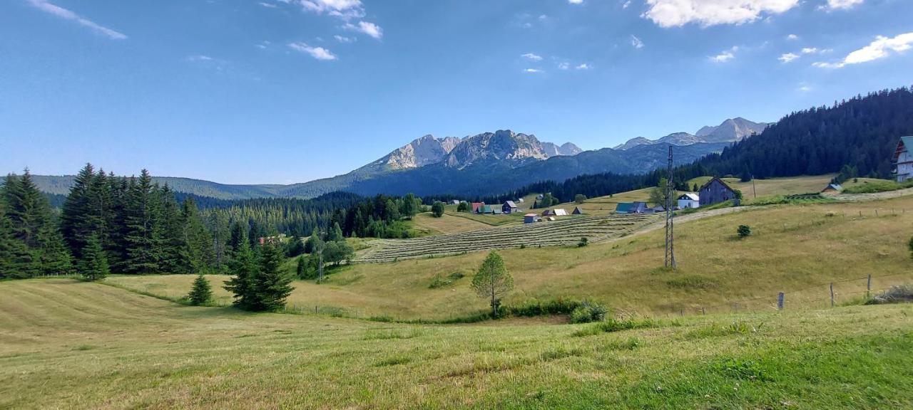 Durmitorske Vile Žabljak Exteriör bild